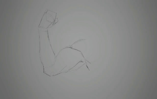 如何绘制手臂肌肉